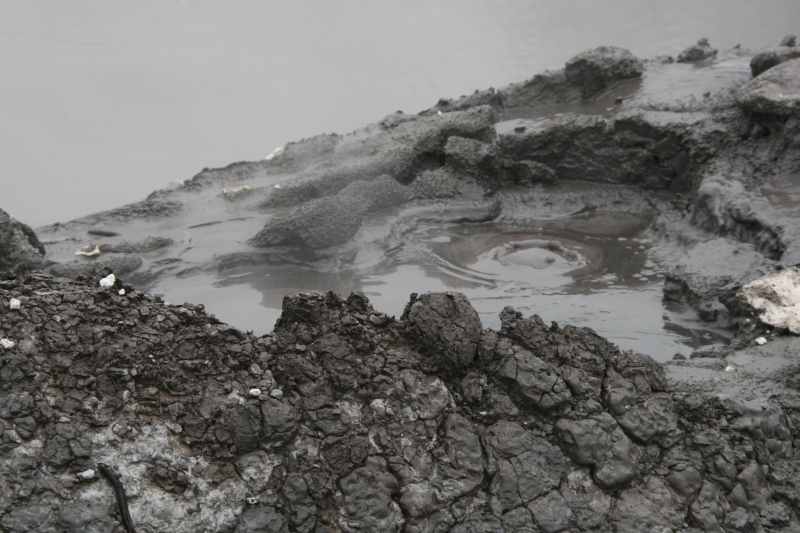 Nieuw-Zeeland 2011 - 0607